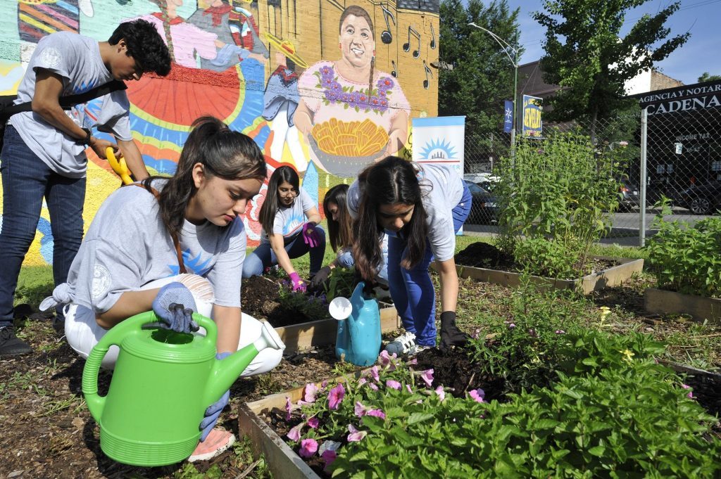 Young people engaged in One Summer Chicago internships and employment are found in a wide array of settings, from stargazing at the Adler Planetarium to more earthy endeavors like community gardening. – Supplied photo