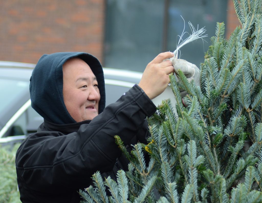 Palos Heights' Thomas Chong tags one of the hundreds of trees being sold by the Palos Lions Club. (Photos by Jeff Vorva)