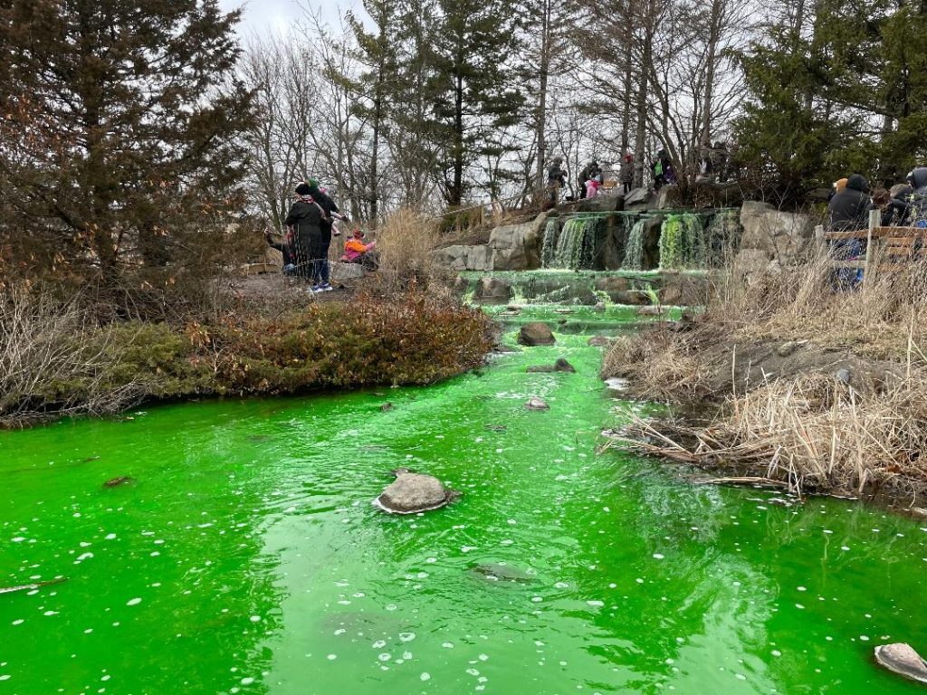 To celebrate St. Patrick’s Day, the Lake Katherine Nature Center &amp; Botanical Gardens, 7402 W. Lake Katherine Dr., Palos Heights, created a little Irish magic as volunteers and staff dyed its waterfall emerald green. (Photos by Kelly White)