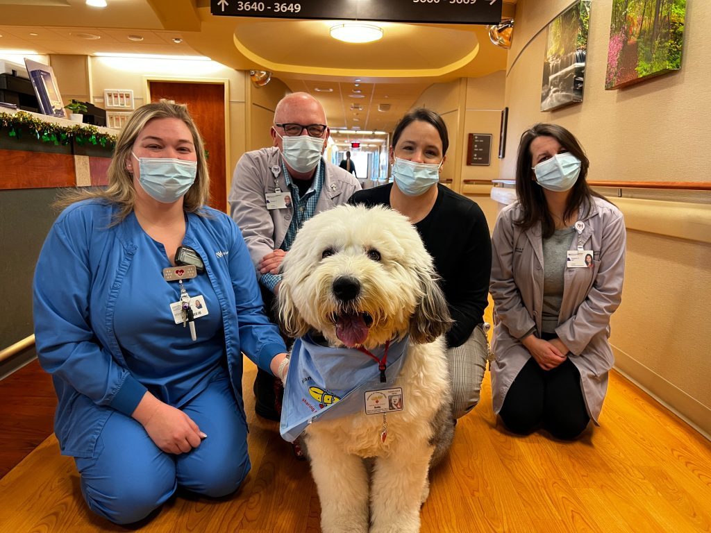 Amber Tacker, RN, clinical coordinator (from left), David Trondsen, chaplain, Angela Seitz, dietitian, and Cathy Lasak, RN, manager of patient care, were thrilled to get a visit from Buddy, an Old English Sheep Dog, at Northwestern Medicine Palos Hospital. (Photo supplied by Northwestern Medicine Palos Hospital)