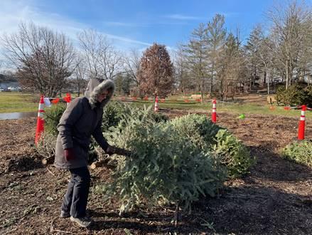 Lake Katherine Center &amp; Botanical Gardens, 7402 Lake Katherine Dr., Palos Heights, is holding a tree recycling program from now through Sunday, January 14.  (Supplied photos)