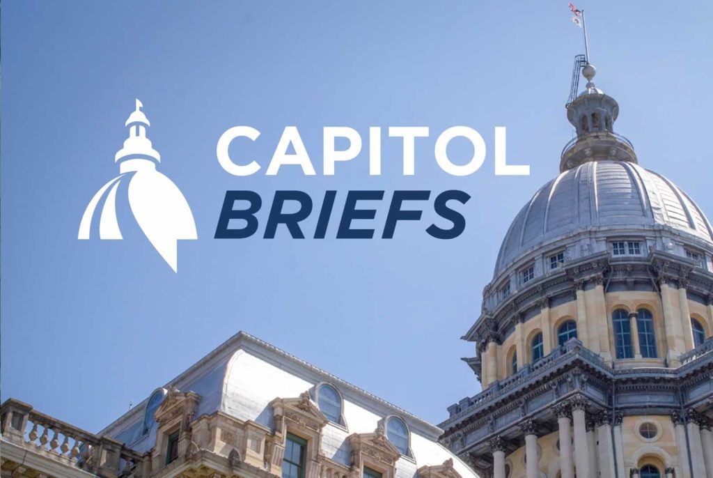 Capitol Briefs: Republicans sue over law banning legislative candidate slating