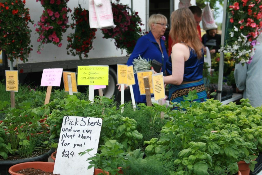 Herbs, planters and a variety of flowers were popular items at Dotson's Farm during the first Evergreen Park Farmers Market on May 2. (Photos by Joe Boyle)
