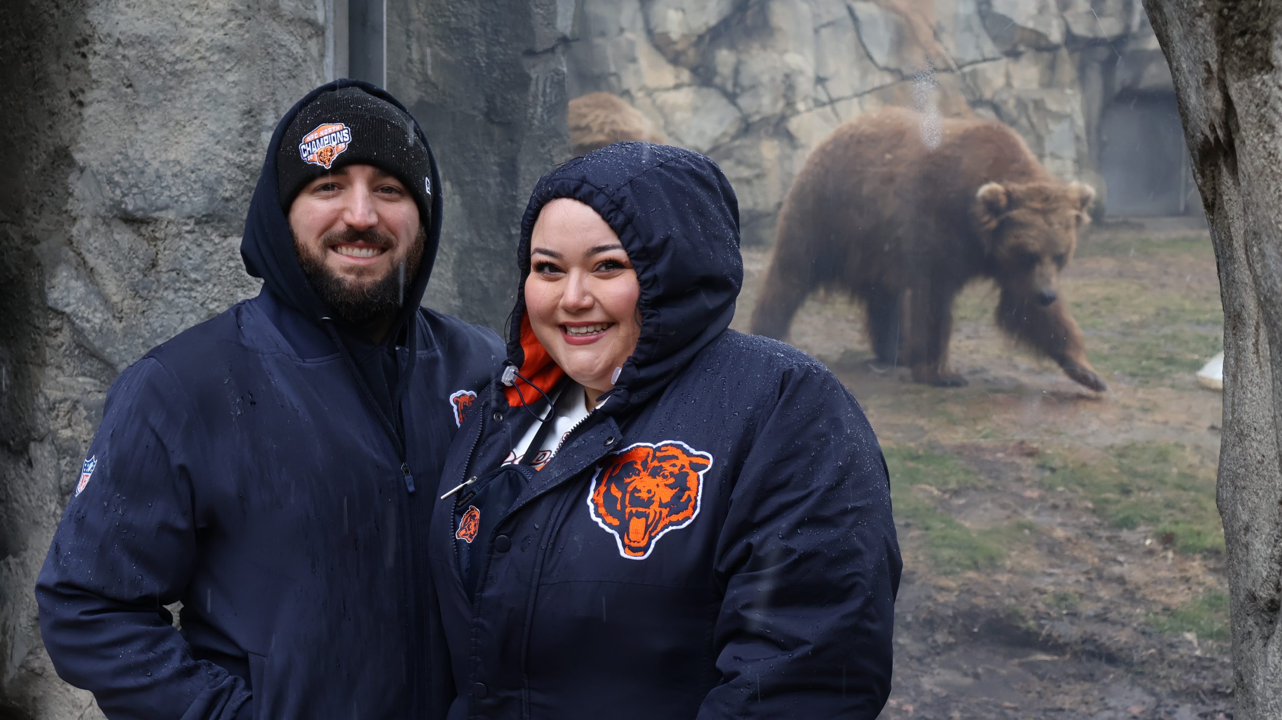 DABEARS2-scaled.jpg