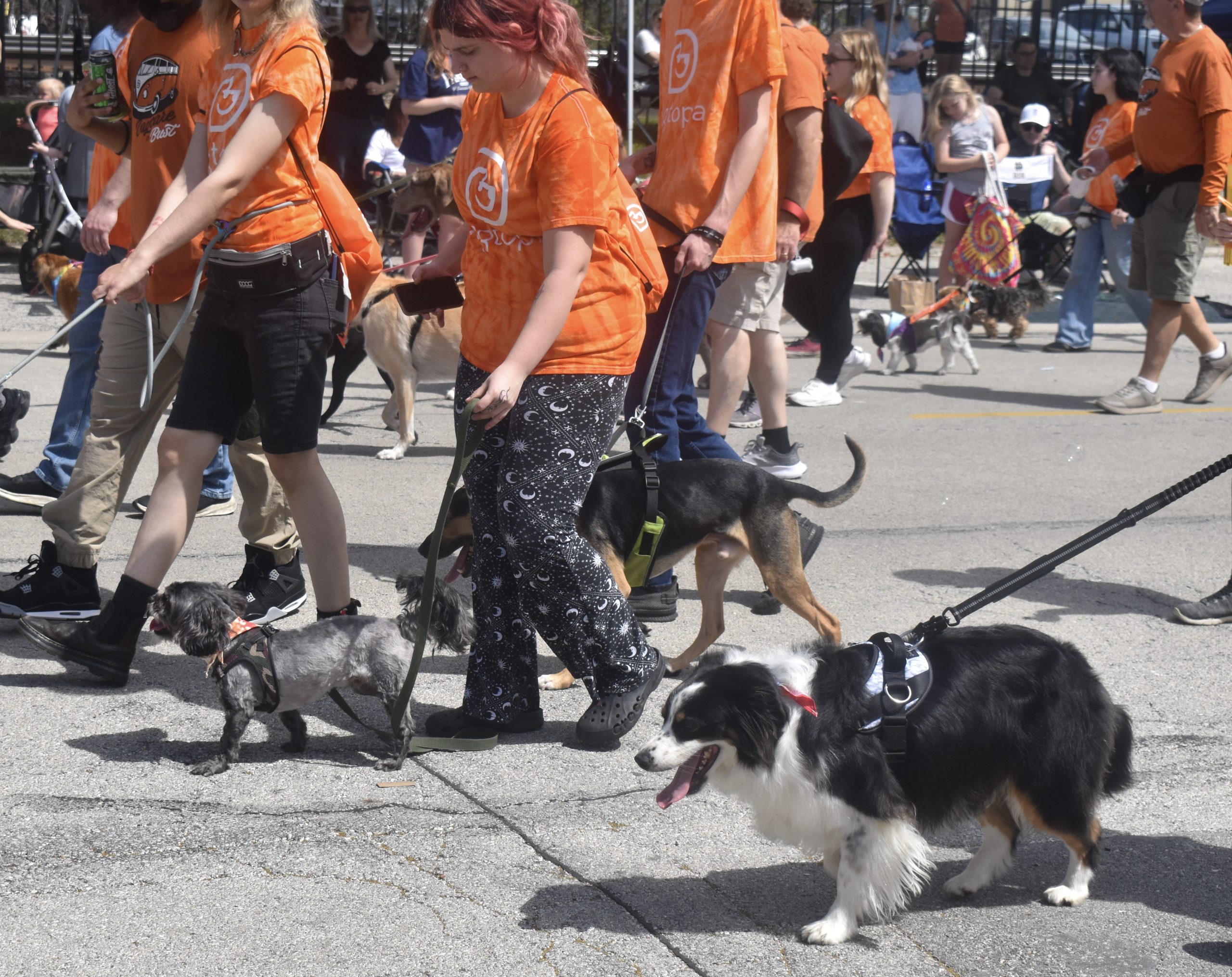 Pet Parade thrills thousands in La Grange - Desplaines Valley News